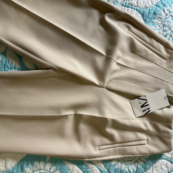Zara Pants - Zara Beige Pleated Trousers
